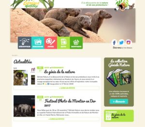 Création de site web écologique pour enfants / Graphiste freelance Paris