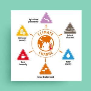 Association humanitaire / Graphiste / Dépliant sur le changement climatique